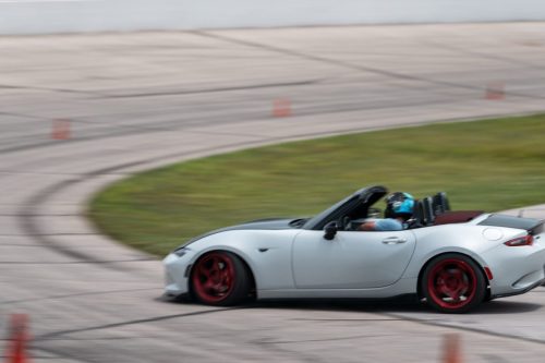 20250621-DSC03639 Large