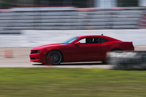 20250809-DSC03638 Large
