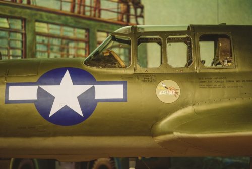 pca_mst_air_zoo_2025_8